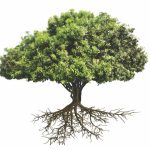 March Mindful Eating Challenge