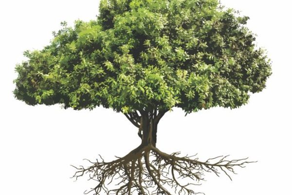 March Mindful Eating Challenge